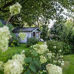 Butjes Sollwitt